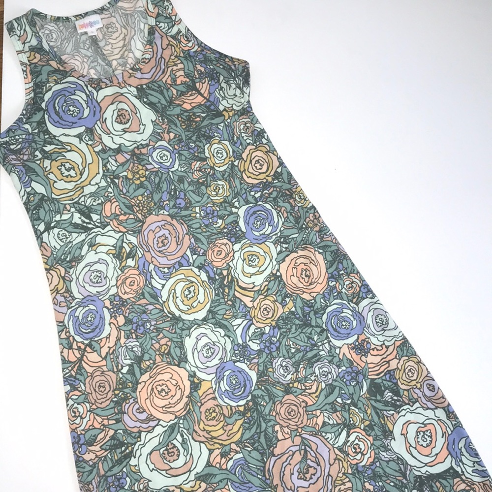 LuLaRoe Dani Dress
